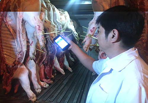 Kiểm tra nguồn gốc thịt heo nhập vào TP HCM. Ảnh: Sơn Hoà.